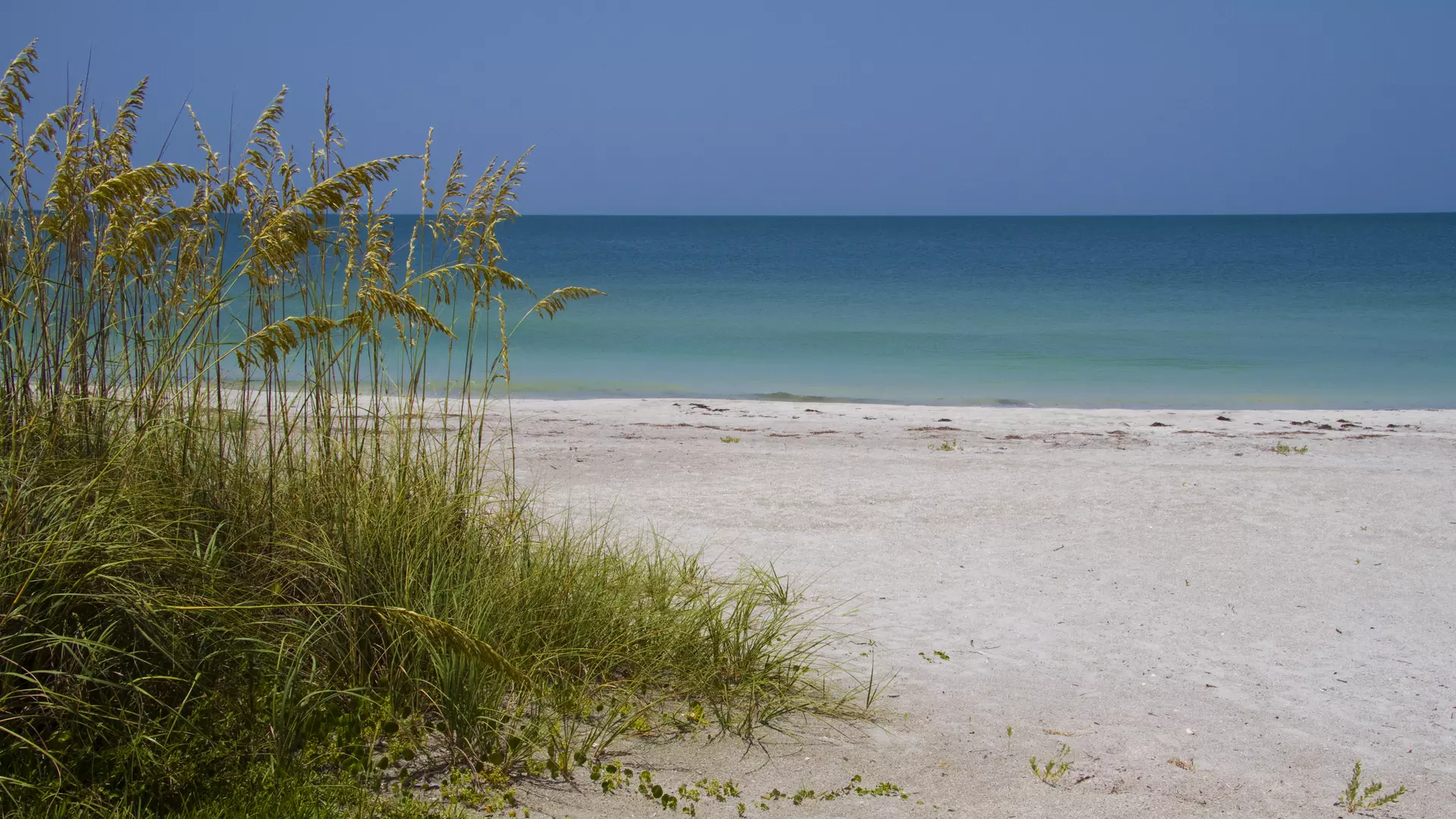 Belleair Beach Background 