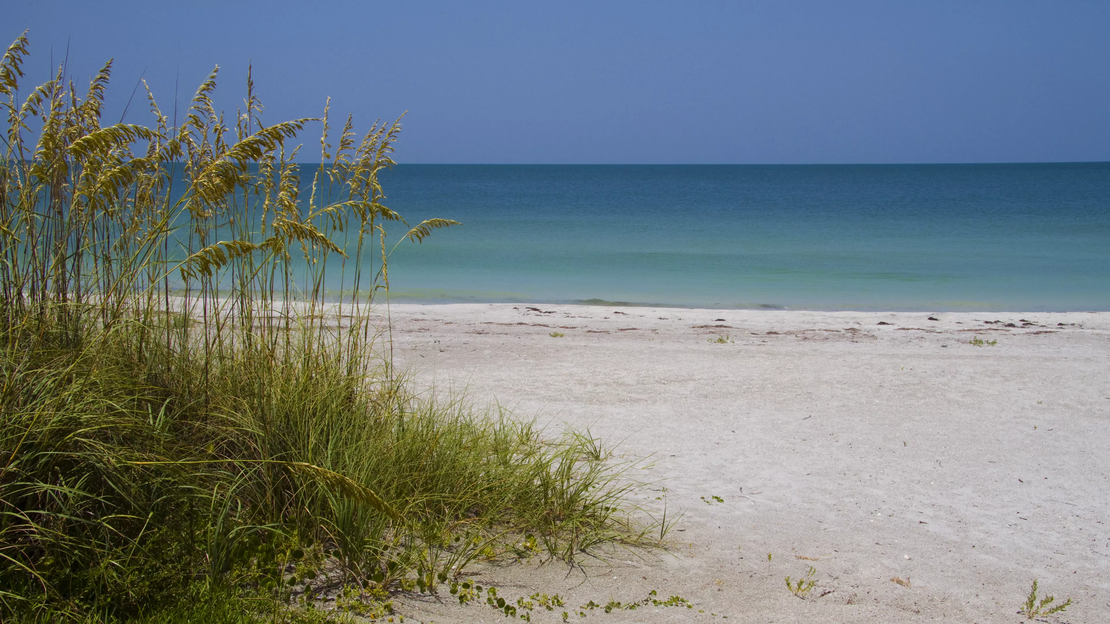Belleair Beach Background 